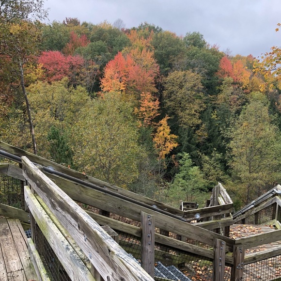 Meet your Posher, Laura - Picture 4 of 6